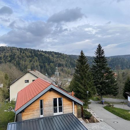 Traumferienwohnung Todtmoos - Appartment Mit Schoenem Wintergarten מראה חיצוני תמונה