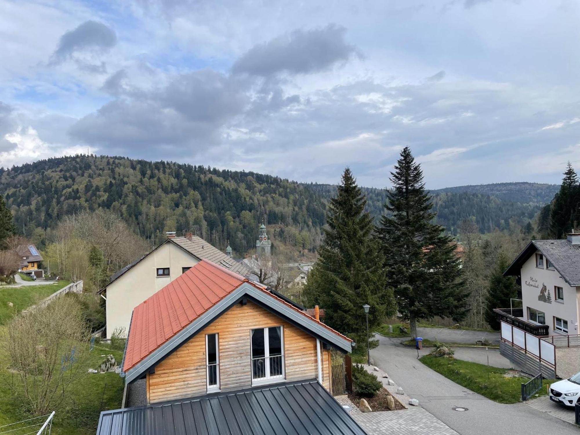 Traumferienwohnung Todtmoos - Appartment Mit Schoenem Wintergarten מראה חיצוני תמונה